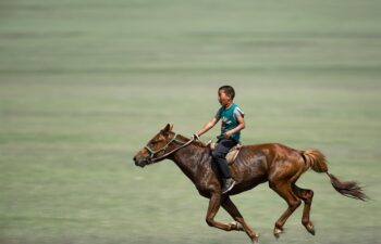 Ile kosztuje jazda na koniu?