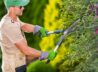 Nożyce do żywopłotu Gardena – idealne narzędzie do pielęgnacji ogrodu
